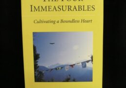 The Four Immeasurables- B. Alan Wallace